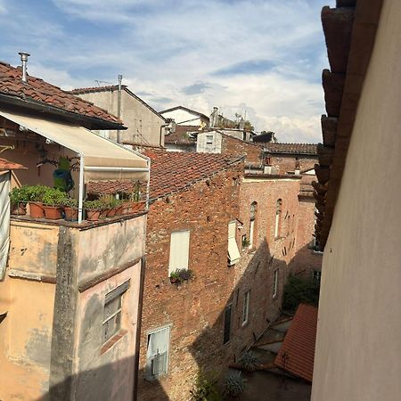 La Casa Del Galletto - At The Top Of The City ลุคคา ภายนอก รูปภาพ